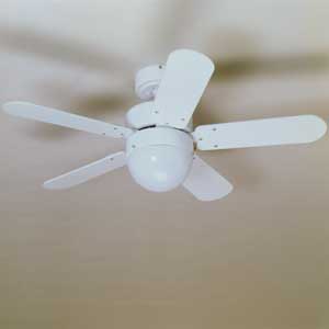 ceiling fan