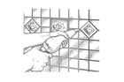Installing Decorative Tiles
