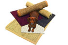 dog lying on different flooring types