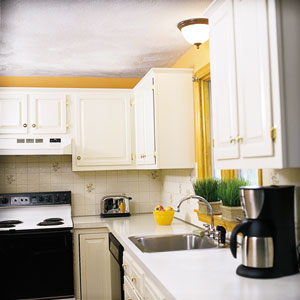 Old Cabinets, New Color