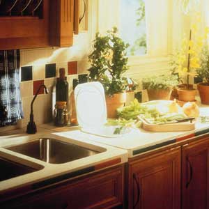 composting chute set into the counter