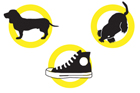 illustration of a dog, sneaker and a mouse