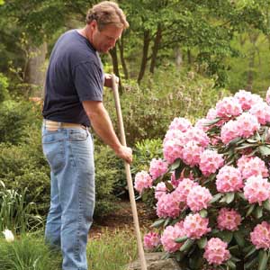 An Organized Garden