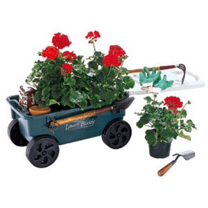 Ames Lawn Buddy gardening cart