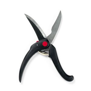 Poultry shears, from Zwilling J.A. Henckels