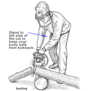 watch out for bucking logs when chain sawing