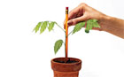 10 uses for a pencil