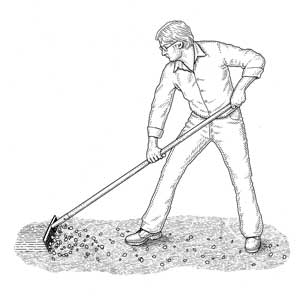 rakes