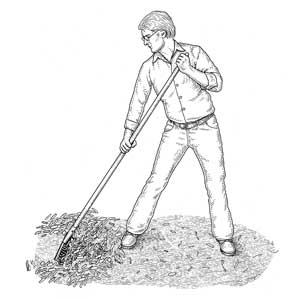 rakes