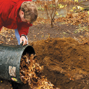 Roger digs the planting hole
