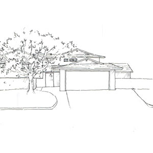 driveway plantings