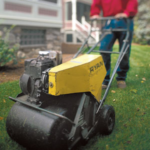 gas powered aerator