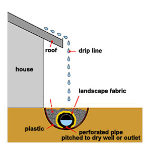 Water Collection System