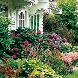 foundation plantings 