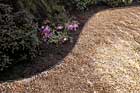 Laying a Gravel Path
