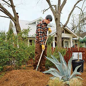 a landscaper rakes native pine-straw mulch over plant beds