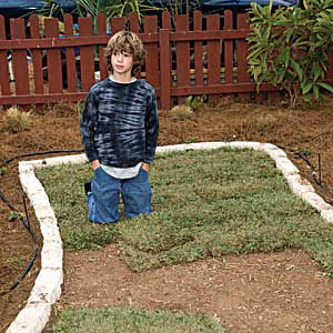 St. Augustine sod is used in the front lawn