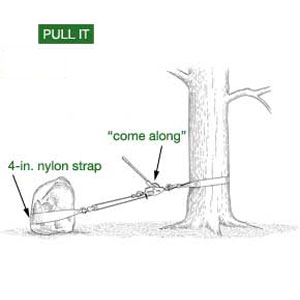 Pull It
