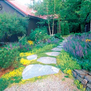 Perfect path