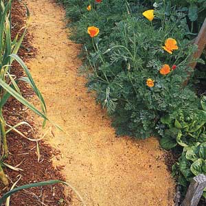 Mulch Path