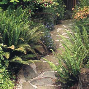 Stone path
