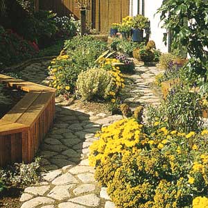 Edging plants for a walkway