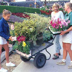 shopping at the nursery