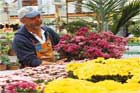 best deal on plants