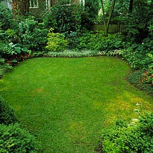 a yard made private by fencing and shrubs
