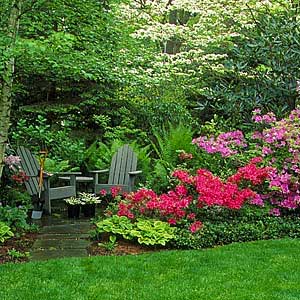shady oasis shaded in shrubs