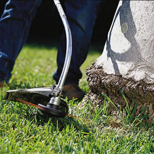 Trimming near a tree with a string trimmer
