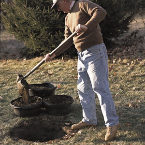 Planting a tree step 1