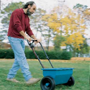 keep a lush lawn to crowd out weeds