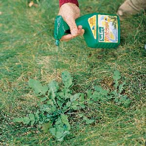 herbicides