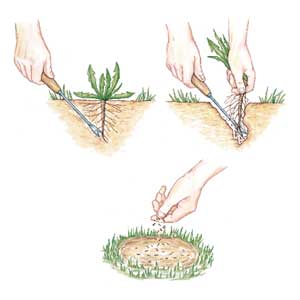 Pulling Weeds Permanently