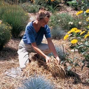 controlling weeds