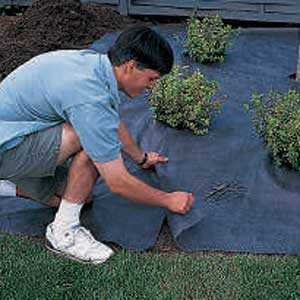 Landscape fabric