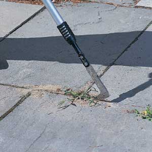 Crack Weeder
