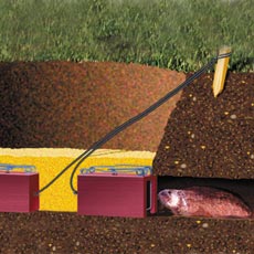 Getting Rid of Gophers