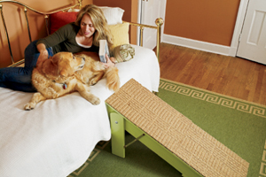 dog bed ramp