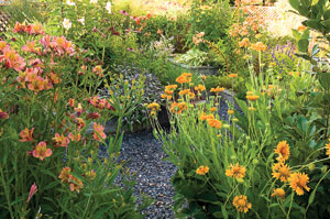 Seattle garden