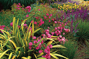 landscaping
