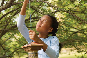 family-friendly bird feeder