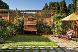 small garden with backyard animals and plants