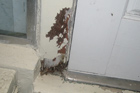 How to Replace Rot-Damaged Trim