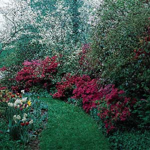 grass path