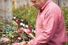 gardening