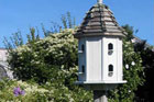 Birdhouses and Feeders