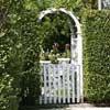 privet hedge and gate