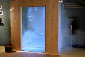 steam shower